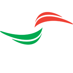 Liga de Expansión MX