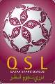 Q League