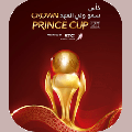 Crown Prince Cup