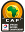 African Nations Championship