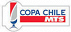 Chilean Cup
