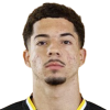 Adriano Silveira Borges Filho