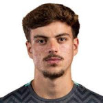 José Ribeiro