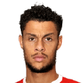 Rudy Gestede