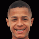 Gabriel Souza dos Santos