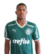 Edney Henrique Santos da Silva