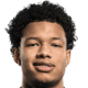 Shandre Campbell
