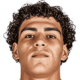 Guilherme Martinho Peixoto