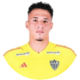 Robert Pinto Alves Assunção