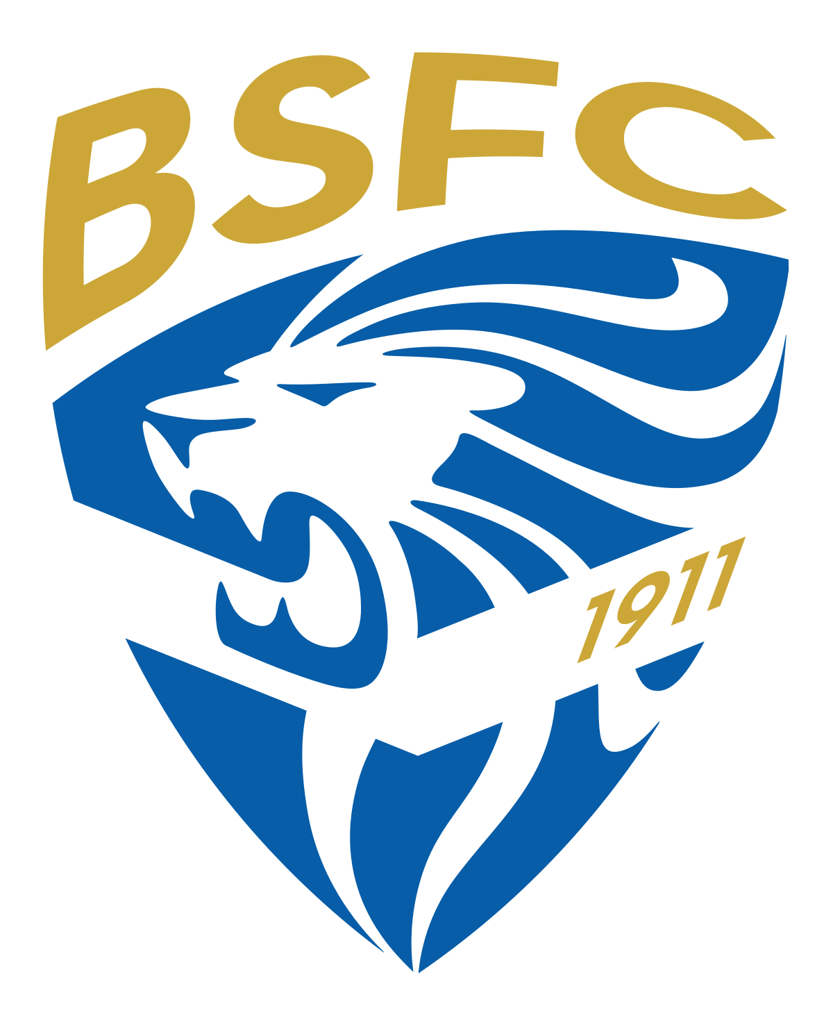 logo-team