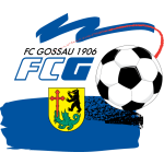 logo-team