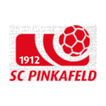 logo-team