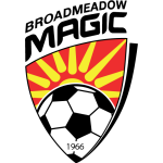 logo-team