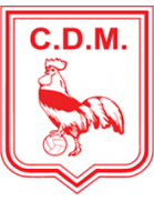 logo-team