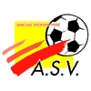 logo-team