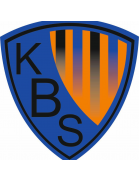 logo-team