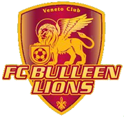 logo-team