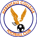 logo-team