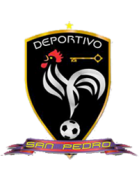 logo-team