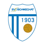 logo-team