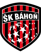 logo-team