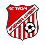 logo-team