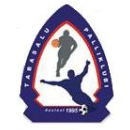 logo-team