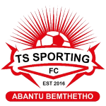 logo-team