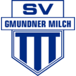 logo-team