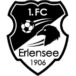 logo-team