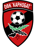 logo-team