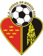 logo-team