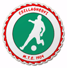 logo-team