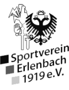 logo-team