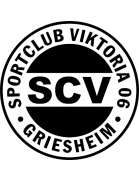 logo-team