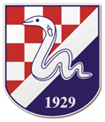 logo-team