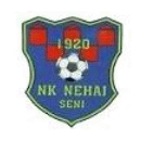 logo-team