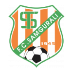 logo-team