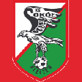 Sokół Kleczew