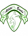 Atletic Bradu