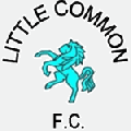 Little Common
