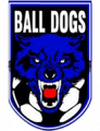 Ball Dogs