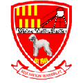 Bedlington Terriers FC