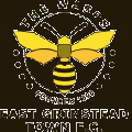 East Grinstead Town