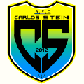 Carlos Stein