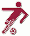 Zollikofen