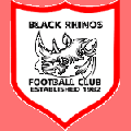 Black Rhinos