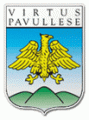 Virtus Pavullese