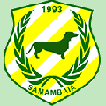 Samambaia