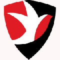 Cheltenham Town
